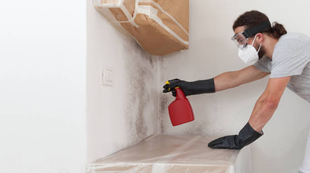 Professional Basement Mold Remediation technician working in Marriottsville, MD