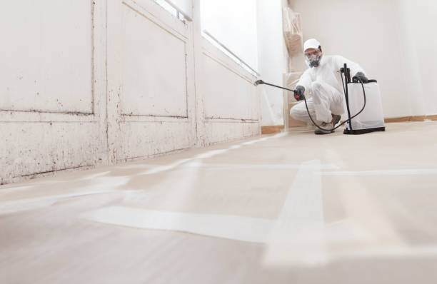 24/7 Emergency Basement Mold Remediation experts in Marriottsville, MD